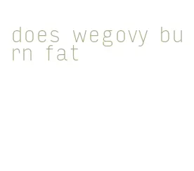 does wegovy burn fat