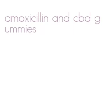 amoxicillin and cbd gummies
