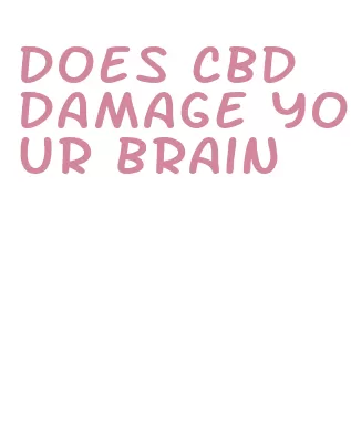 does cbd damage your brain
