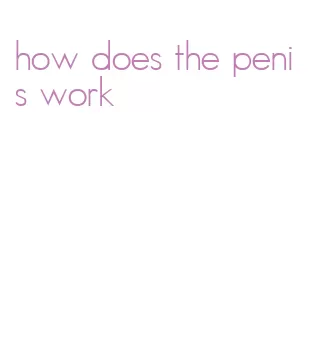 how does the penis work