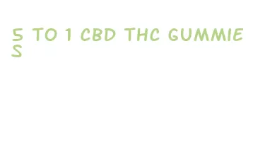 5 to 1 cbd thc gummies