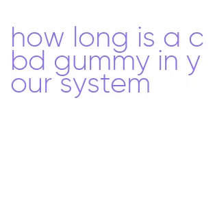 how long is a cbd gummy in your system