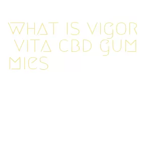 what is vigor vita cbd gummies