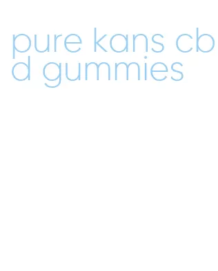 pure kans cbd gummies