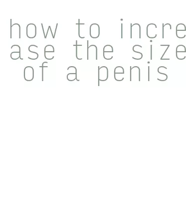 how to increase the size of a penis