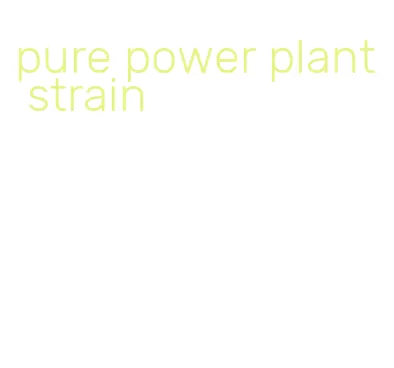pure power plant strain