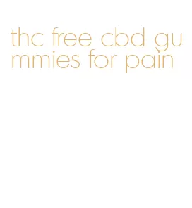 thc free cbd gummies for pain