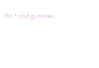 thc + cbd gummies