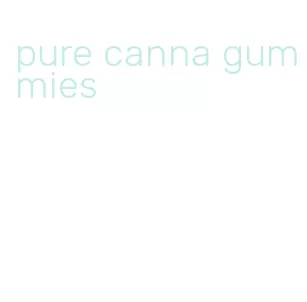 pure canna gummies