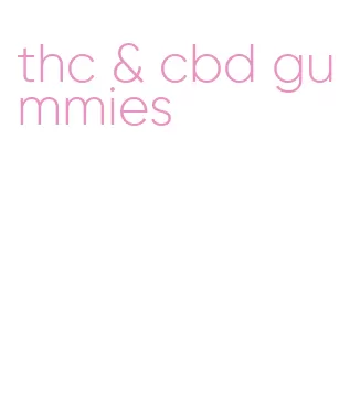 thc & cbd gummies