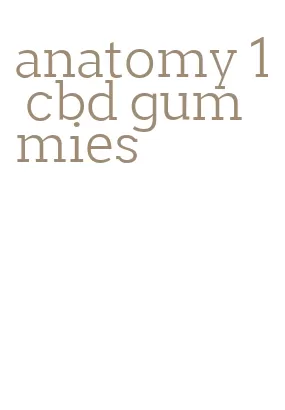 anatomy 1 cbd gummies