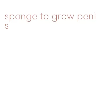 sponge to grow penis