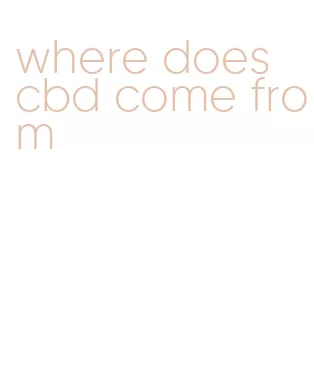 where does cbd come from