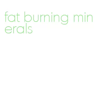 fat burning minerals