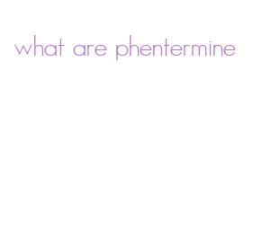 what are phentermine