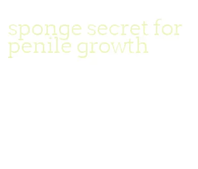 sponge secret for penile growth