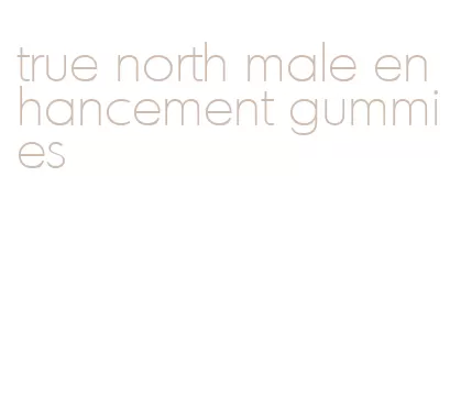 true north male enhancement gummies