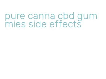 pure canna cbd gummies side effects