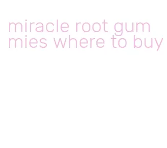 miracle root gummies where to buy