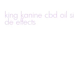 king kanine cbd oil side effects