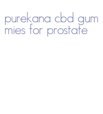 purekana cbd gummies for prostate