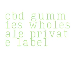 cbd gummies wholesale private label