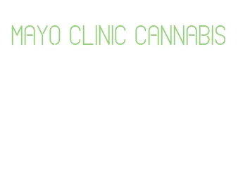 mayo clinic cannabis