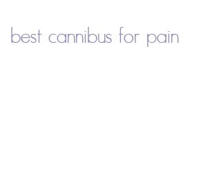 best cannibus for pain