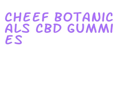 cheef botanicals cbd gummies