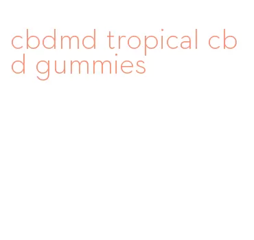 cbdmd tropical cbd gummies