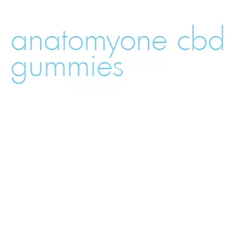 anatomyone cbd gummies