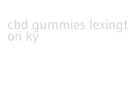 cbd gummies lexington ky
