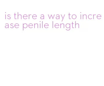 is there a way to increase penile length