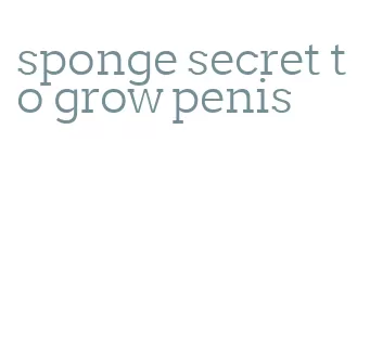 sponge secret to grow penis