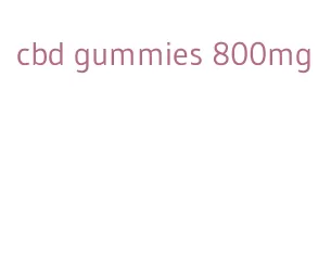 cbd gummies 800mg