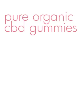 pure organic cbd gummies