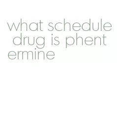 what schedule drug is phentermine