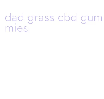 dad grass cbd gummies