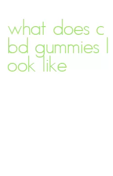 what does cbd gummies look like