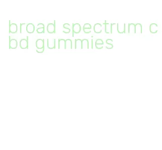 broad spectrum cbd gummies