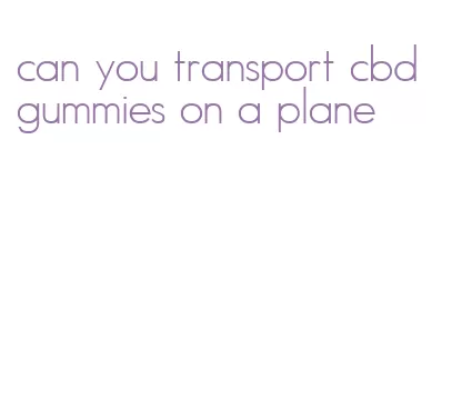 can you transport cbd gummies on a plane