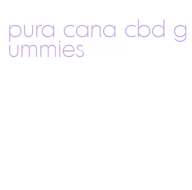 pura cana cbd gummies