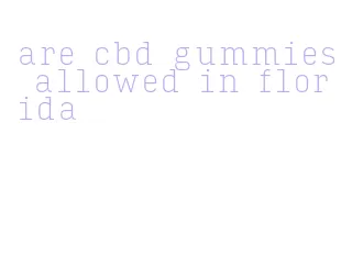are cbd gummies allowed in florida